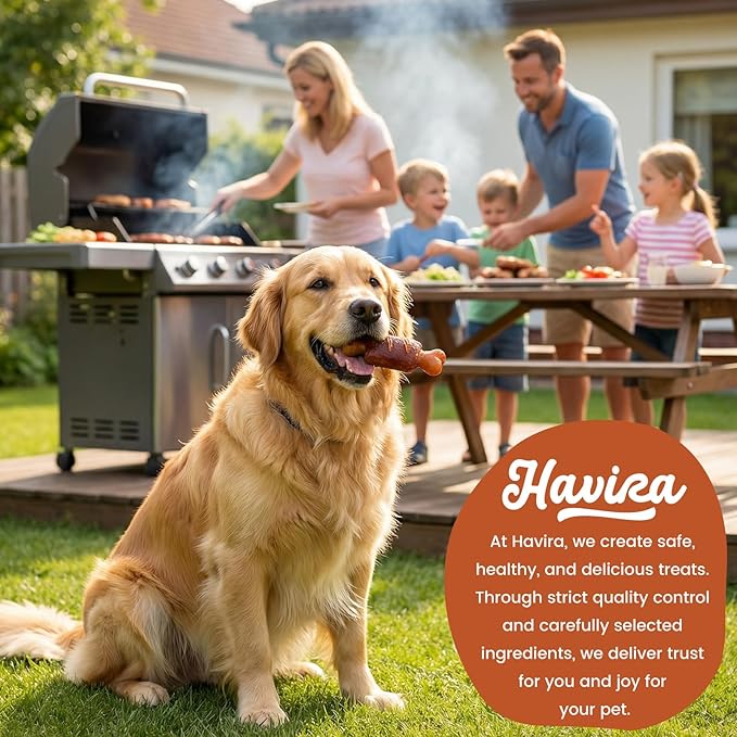 Havira BBQ Dog Treats Baked Pork Chop 16 Count, Grill-Shaped Rawhide Free Dog Chews Bone, Easily Digestible, for All Life Stages