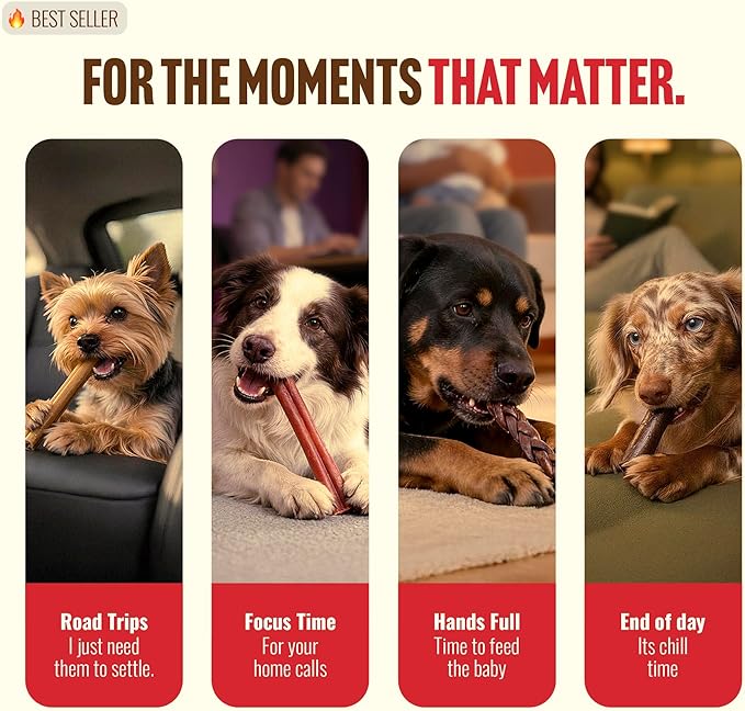 Natural Farm Odor-Free Super Braided Collagen Dog Chews (12-Inch, 10-Pack) First Ever Real Bull Sticks Alternative: 100% Natural Angus Hide Collagen Treats - More Protein More Chew Time for All Dogs