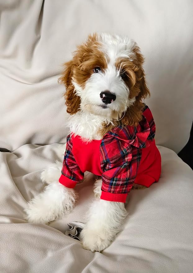 Fitwarm Tartan Plaid Dog Hoodie, Dog Clothes for Small Dogs Girl Boy, Pet Sweatshirt with Hood, Cat Winter Outfit, Red, Green, Small