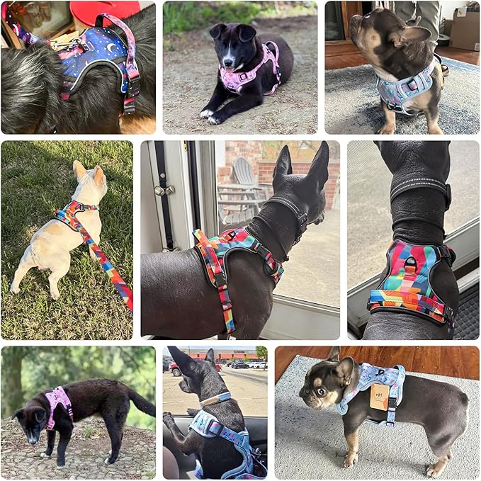 BEAUTYZOO No Pull Dog Harness and Leash Set with 2 Metal Leash Clips - Overhead-Free 3 Snap Buckles Design, Adjustable No-Choke Soft Padded Reflective Oxford Pet Vest for Small Medium Large Dogs, M