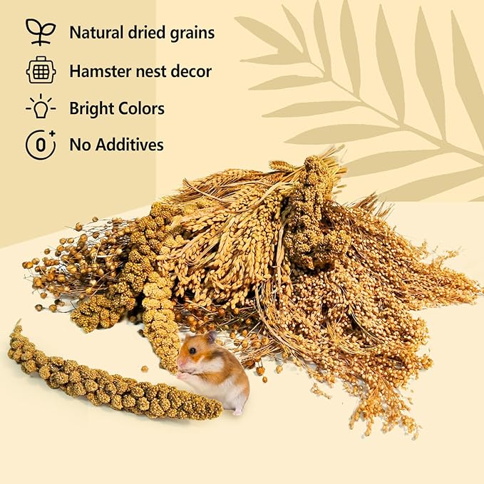 Natural Hamster Grain & Herb Habitat Deocr, Edible Hamster Sprays Herbs Bedding Mate, Hamsters Cage Enrichment Decoration Accessories for Gerbil Dwarf Syrian Hamsters Mouse Guinea Pig Mice