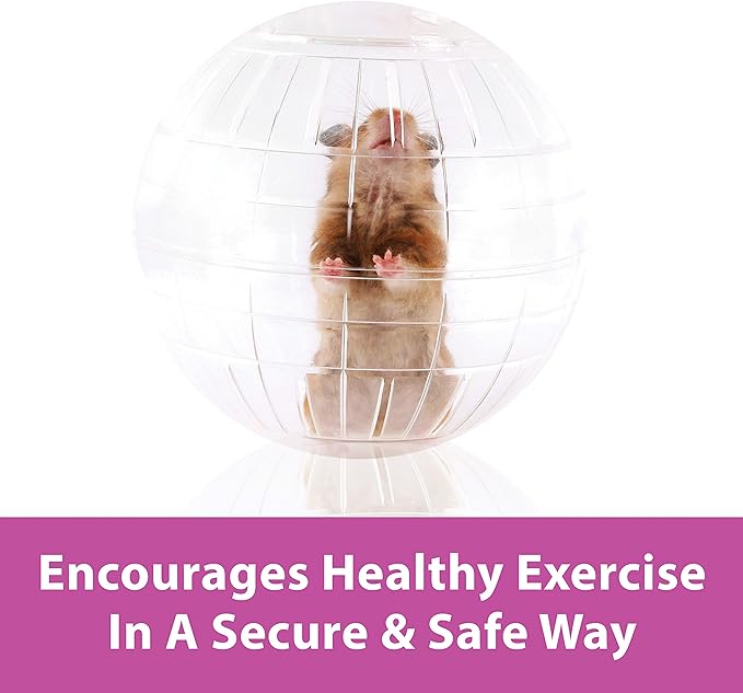 Kaytee 5" Assorted Color Run-About Exercise Ball For Pet Dwarf Hamsters & Mice