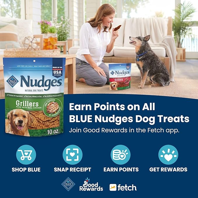Blue Buffalo Nudges Jerky Cuts Dog Treats, Made in the USA with Natural Ingredients, Steak, 10-oz Bag (Pack of 6)