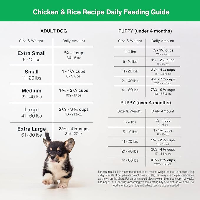 Just Food for Dogs Nutrient Blend, Vitamins and Supplements for Homemade Dog Food, Chicken and Rice, DIY Fresh Pet Meals and Toppers, Human Grade Quality, Dog Vitamins & Multivitamin Additive, 4.55oz