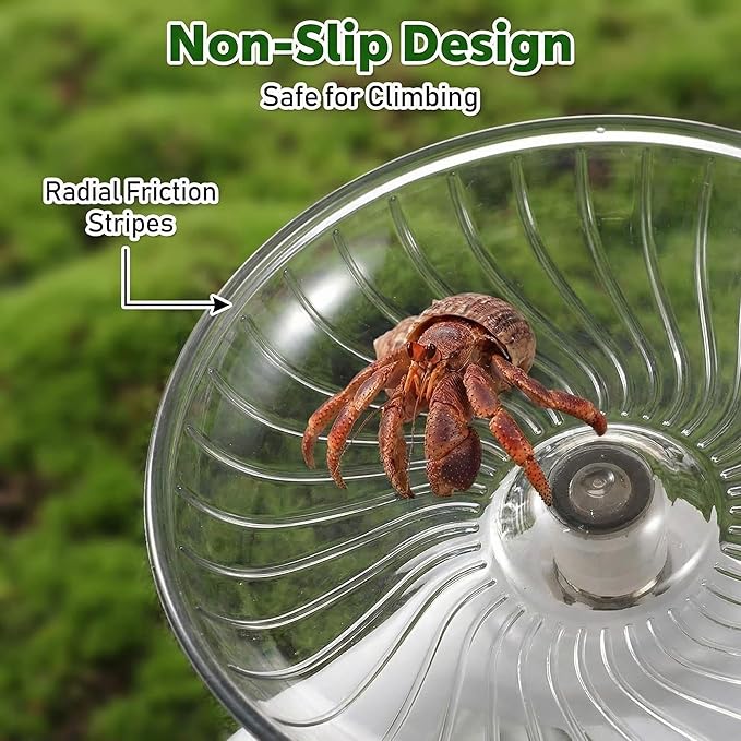 Silent Hermit Crab Running Wheel Toy, Hamster Exercise Wheel, Small Animal Climbing Toy for Gecko, Jumping Spider, Rats and Hermit Crabs Cage & Tank Accessory (Diameter 5.2")