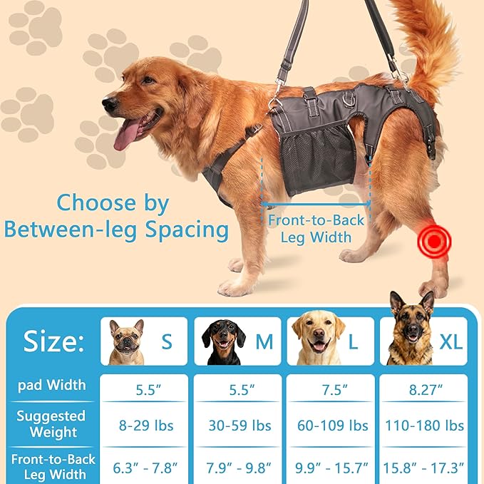 Dual-use Dog Lift Rehab Hareness Canine Sling for Large Pooch Rear Legs and Hip Support,Adjustable and Soft Brace Strap for After ACL Surgery, Helps Senior, Injured and Disabled K9