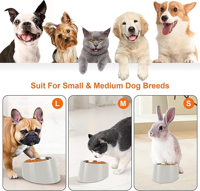 Tilted Dog Bowl Non-Slip & Non-Spill Pet Feeder with Elevated Detachable Melamine Stand, Easy to Get Food Dog Dish, S/100ml Gray