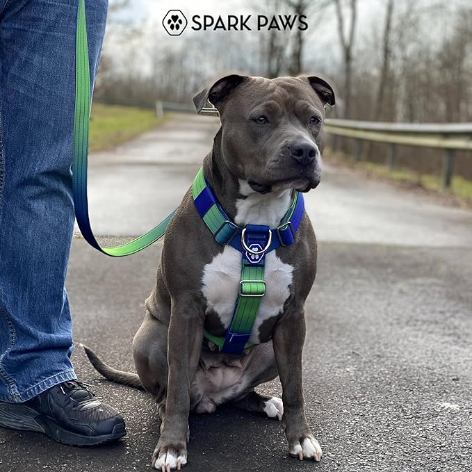 Spark Paws No Pull Dog Harness with Handle for Large Dogs, Heavy Duty Dog Harness for Big Strong Breeds, Adjustable, Y Shaped Padded Halter Design with Front Clip - Lime Wave - M