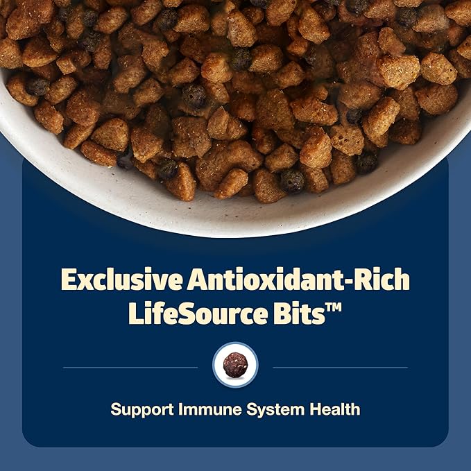 Blue Buffalo Freedom Grain-Free Senior Dry Dog Food, Provides Energy to Stay Active, Made in the USA with Natural Ingredients, Chicken & Potatoes, 4-lb Bag