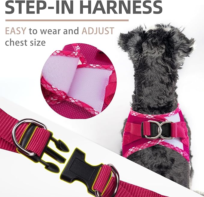 PUPTECK Dog Harness and Leash Set for Small Medium Dogs No Pull Step-in Soft Mesh Puppy Cat Vest Harnesses Reflective at Night, Fuchsia, XS
