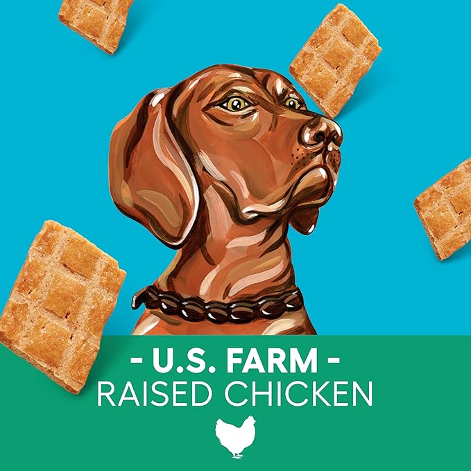 Newman's Own Chicken Jerky Dog Treats, 5 oz Bag (Pack of 6) — High Protein, Grain Free, US Farm-Raised Chicken as First Ingredient, Chewy Wholesome Training Rewards