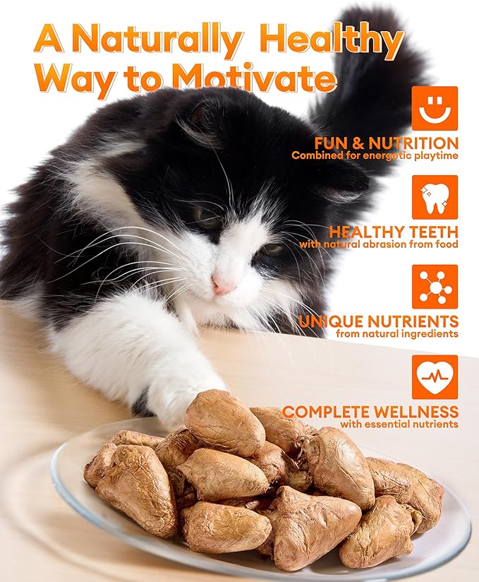 Freeze-Dried Chicken Hearts Cat & Dog Treats, 3.52 oz — High Protein, Single Ingredient, Grain Free, No Additives or Preservatives, Sealed Box