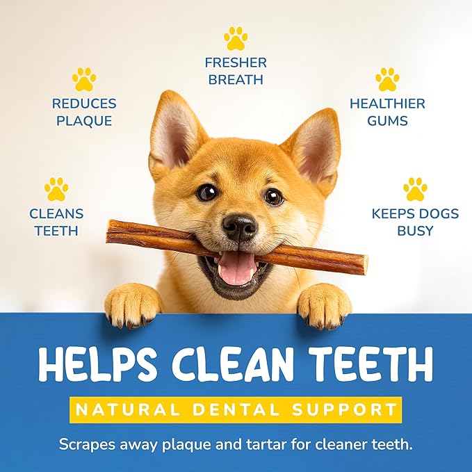 CHARLEY & ME All-Natural Bully Sticks for Dogs Made in The USA - Low-Odor, Rawhide-Free 6” Beef Chews for Aggressive Chewers & Dental Health (Pack of 25)