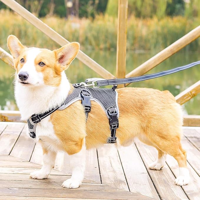 BELPRO Multi-Use Support Dog Harness, Escape Proof No Pull Reflective Adjustable Vest with Durable Handle, Dog Walking Harness for Big/Active Dogs (Black, L)