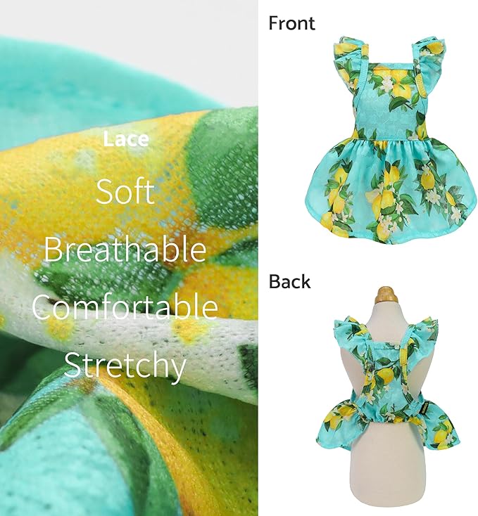 Fitwarm Lemon Dog Dress, Dog Clothes for Small Dogs Girl, Pet Cat Apparel, Teal Blue, Yellow, Green, Medium