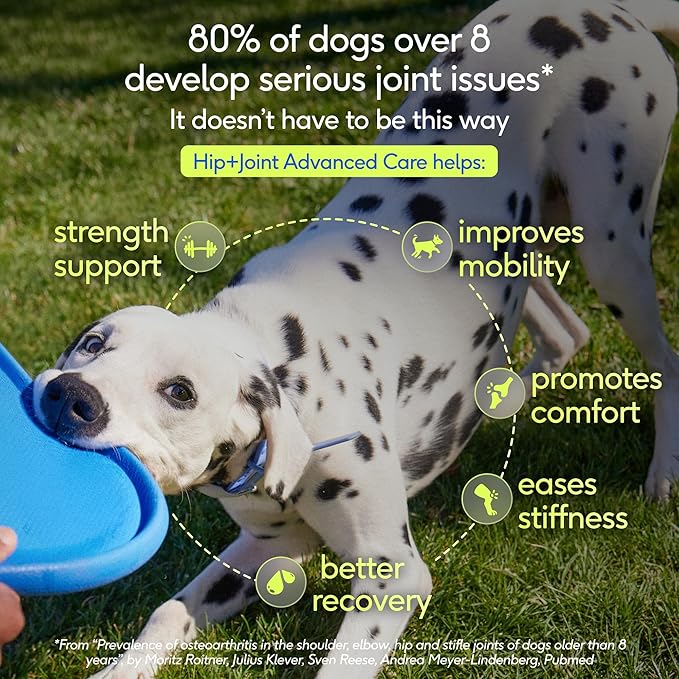 Native Pet Hip & Joint Advanced Care Dog Joint Supplement Powder for Mobility & Movement Support, Joint Supplement for Dogs with HMB, UC-II Collagen, Green Lipped Mussel & Hyaluronic Acid – 30 Scoops