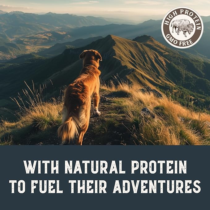 Health Extension Bison & Fish Dehydrated Jerky Dog Treats – 4 oz – Protein-Rich, Grain-Free, Made in USA – Limited Ingredients for Sensitive Dogs & Training Rewards