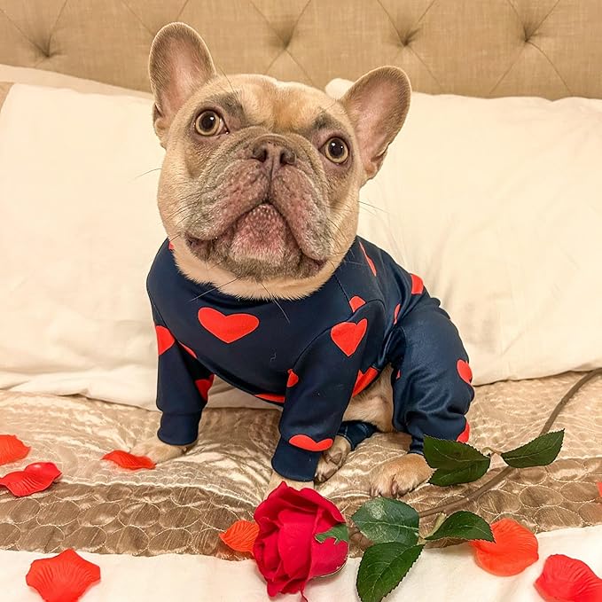 Spark Paws Dog Pajama, Dog Recovery Suit Male, Onesie, Ultra-Soft and 4-Way Stretch, for Small Medium and Large Breeds - Hearts - XL