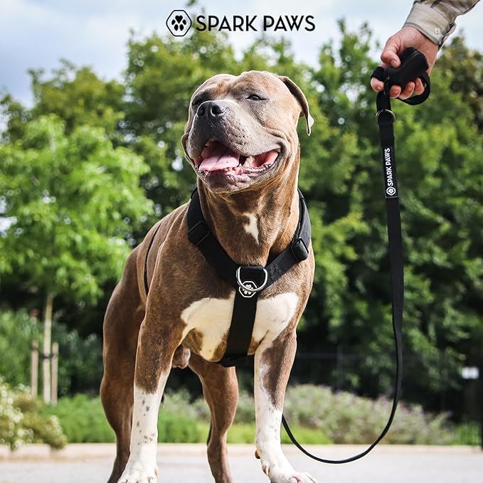 Spark Paws No Pull Dog Harness with Handle for Large Dogs, Heavy Duty Dog Harness for Big Strong Breeds, Adjustable, Y Shaped Padded Halter Design with Front Clip - Black - S