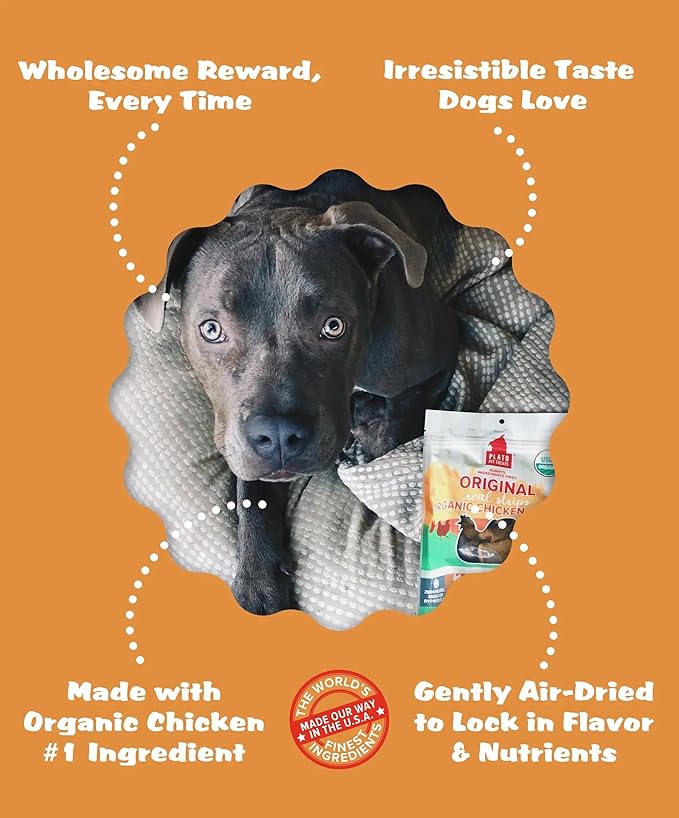 PLATO Pet Treats Real Strips Dog Treats – USDA Organic Chicken – Air-Dried High Protein Dog Treats – Limited Ingredient, Nutrient Dense, No Fillers – Made in USA – 6 oz