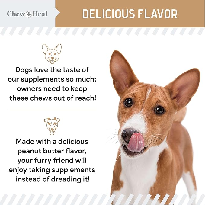 Dog Glucosamine Chews, 90 Count - Hip and Joint Supplement for Dogs - MSM, Chondroitin for Joint and Cartilage Health - Puppies and Seniors, Small and Large Breeds, Peanut Butter Flavor