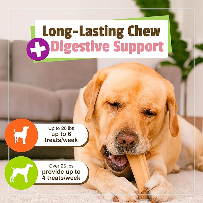 Pet Naturals BusyButter Balanced Belly Bones Medium/Large Dogs – 4 Count, Rawhide-Free Long Lasting Chews with Probiotics, Prebiotics & Pumpkin for Dog Digestive & Gut Health Support, Peanut Butter