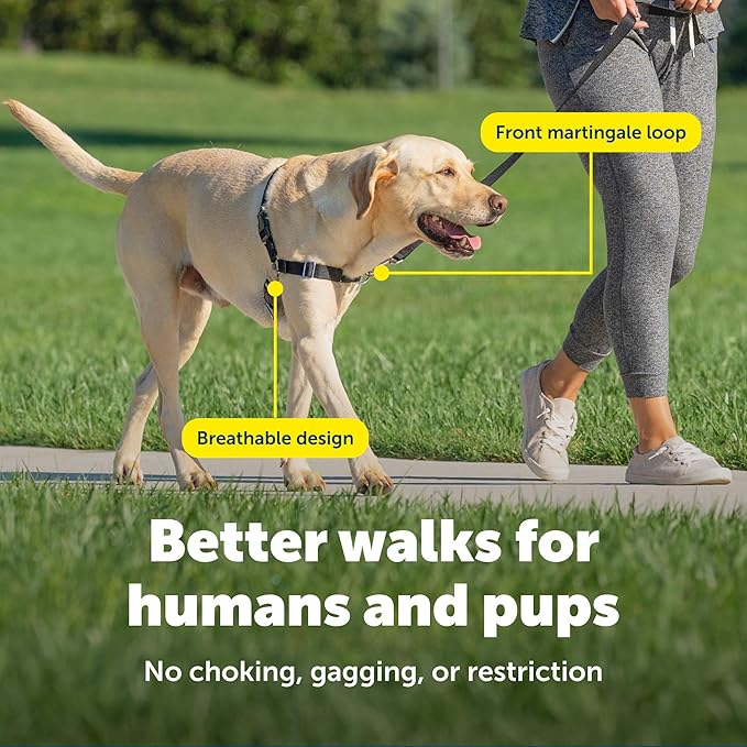 PetSafe Easy Walk Harness for Dogs - Pull-Free Walks - Patented Martingale Loop Design - Front Chest Leash Attachment - Comfort Straps - Breathable Harness Design - Medium, Charcoal/Black