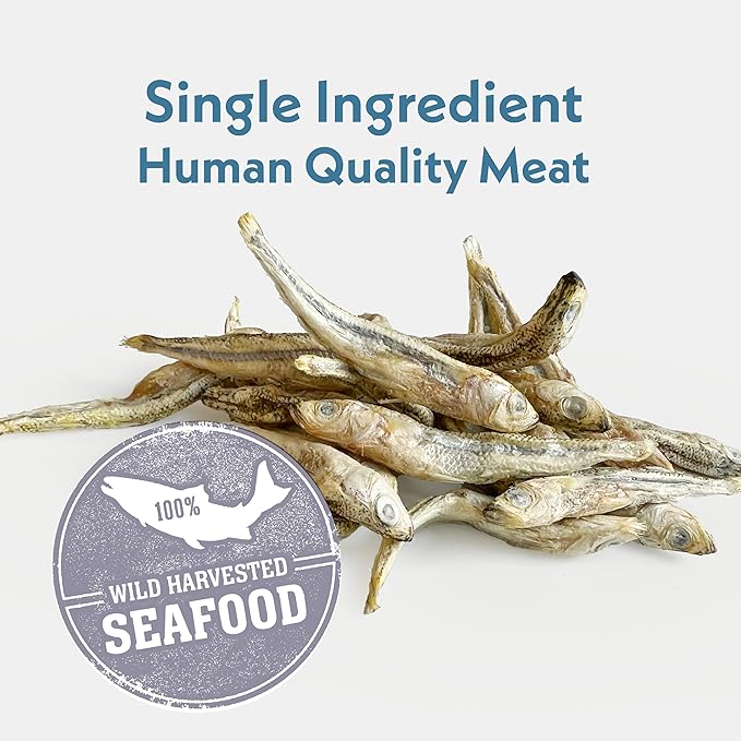 Fresh Is Best Silverside Minnows Freeze Dried Dog Treats – Raw Freeze Dried Cat Treats in Resealable Zipper Bag – High-Protein Minnows for Cats and Dogs – Made in The USA