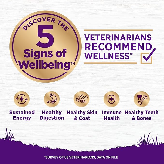 Wellness Complete Health Dry Dog Food, Wholesome Grains, Natural, Lamb & Barley, (5-Pound Bag)