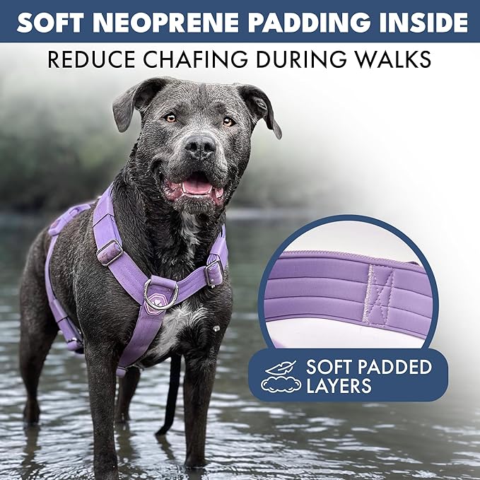 Spark Paws No Pull Dog Harness for Large Dogs, Heavy Duty Dog Harness for Big Strong Breeds, Adjustable, Y Shaped Padded Halter Design with Front Clip - Purple - Large