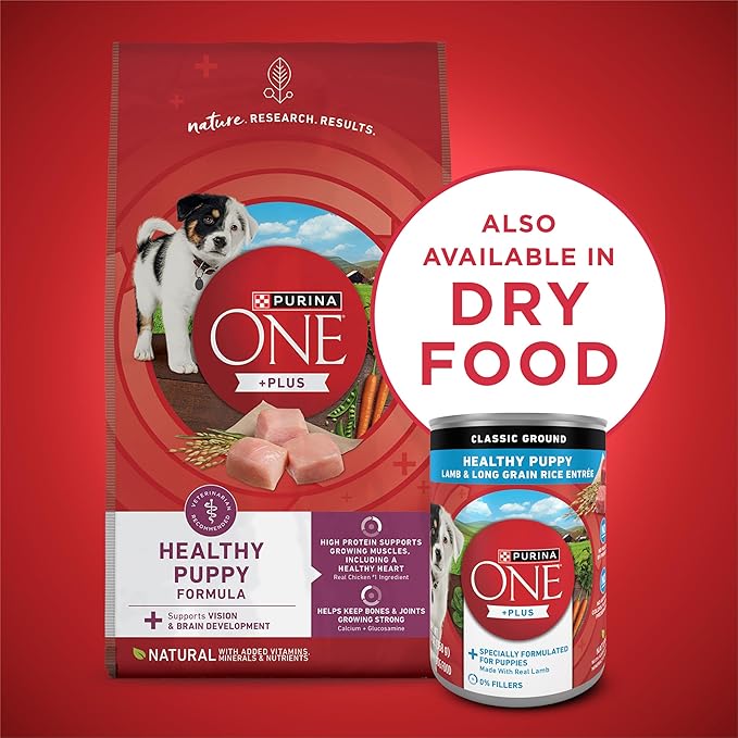 Purina ONE Plus Wet Puppy Food Classic Ground Healthy Puppy Lamb and Long Grain Rice Entree - (Pack of 24) 13 oz. Cans