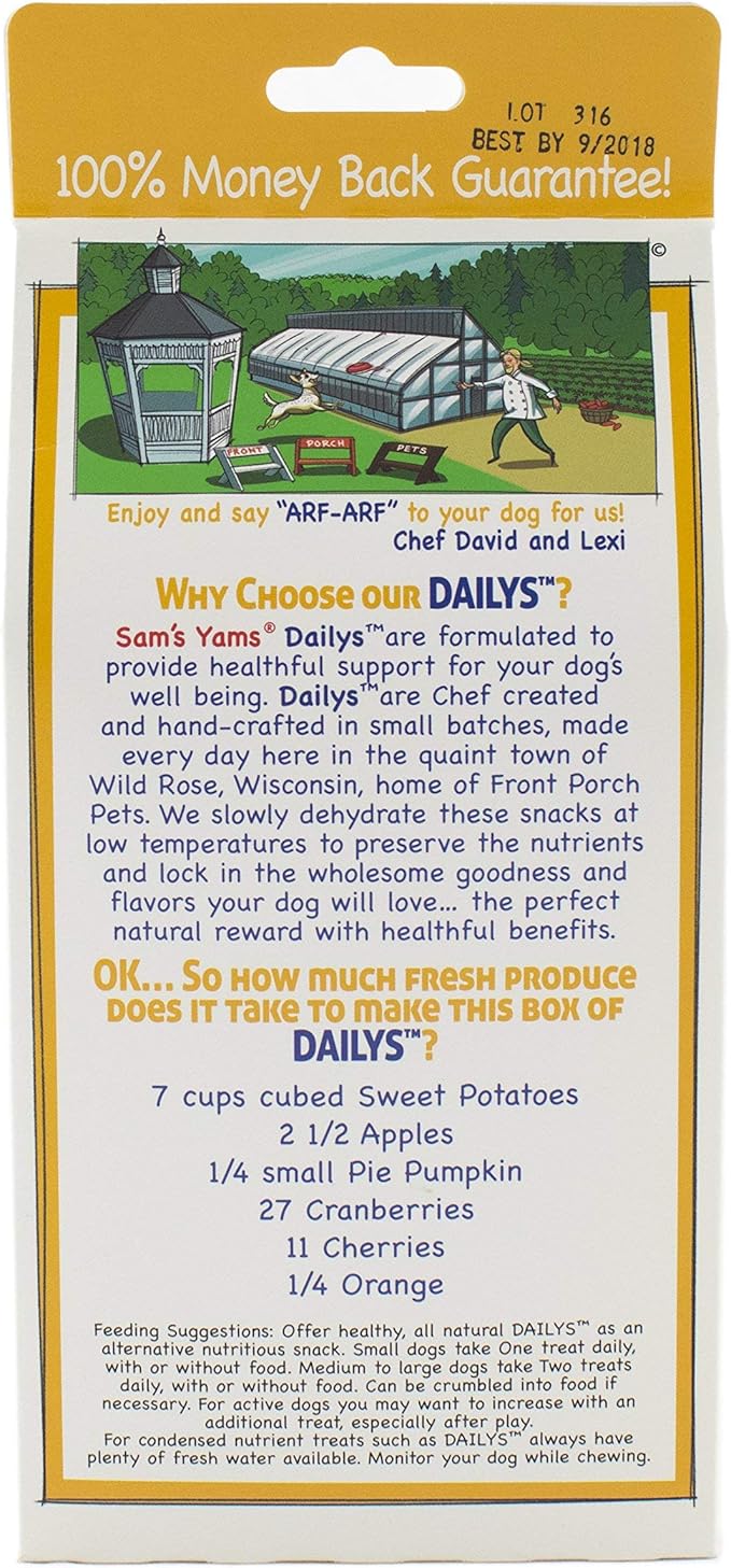 Front Porch Pets Sam's Yams Daily's Replenishing Pumpkin Recipe Dog Treats, Healthy Dog Snacks for Large, Medium or Small Breed Dogs, Vegan Sweet Potato Dog Chews Made in USA - 7 Ounce