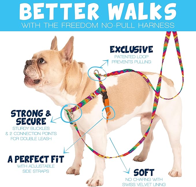 2 Hounds Design Freedom No Pull Dog Harness, Adjustable Harness, Easy Walking & Comfortable Control, Fits Small, Medium & Large Dogs, Solid Colors, Made in USA, 1" MD, Hot Pink