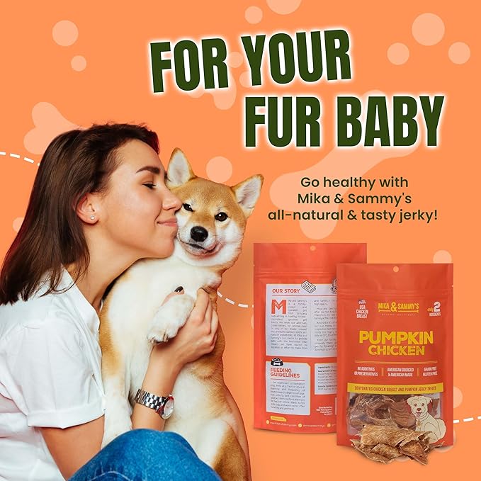 Gourmet Jerky Dog Treats -Made in USA only, Cage-Free, No Additives (Pumpkin Chicken 12 oz)