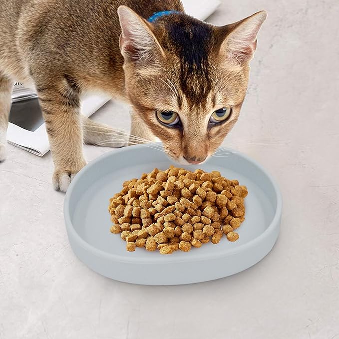 Silicone Cat Dog Bowls, Non Slip Dog Food Cat Feeding Plates, Pet Drinking Bowl for Dry and Wet Food, 10 OZ/330ML Water Bowl for Small Pets 2PCS (Gray)