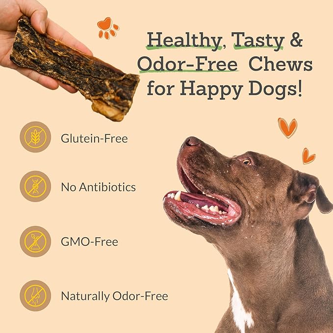 Advance Pet Products Premium Buffalo Gullet Flat Jerky Dog Treats (6" Long, 30 Count/Pack) - Natural Chews for Large, Medium & Small Breed Dogs, Healthy Treats, Odor-Free, Easily Digestible - 1lb