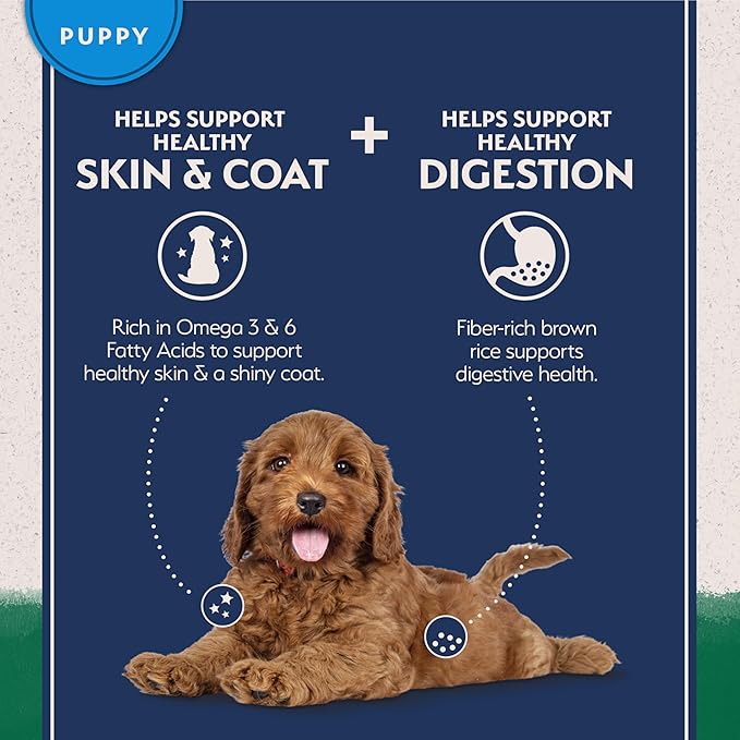 Natural Balance Limited Ingredient Puppy Dry Dog Food with Healthy Grains, Lamb & Brown Rice Recipe, 24 Pound (Pack of 1)