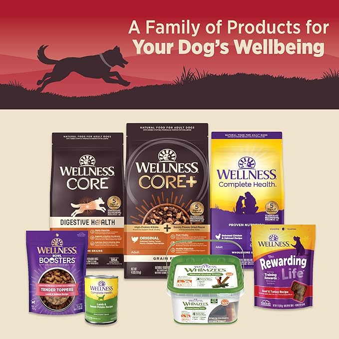 Wellness CORE 95% Natural Wet Grain Free Canned Dog Food, Beef & Carrots,12.5-Ounce Can (Pack of 12)