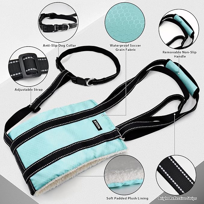 AIITLE Dog Slings for Small Dogs - Adjustable Reflective Dog Lift Harness with Anti-Slip Collar for Senior Dogs, Hind Leg Weakness, Hip Dysplasia, ACL Surgery (Turquoise, S)