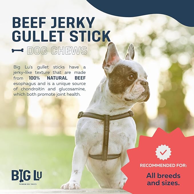 Big Lu - 6-Inch Beef Jerky Sticks for Dogs, 12 Count, All-Natural Beef Gullet, Grass-Fed Jerky Chews, Fully Digestible, High-Protein Treats with Glucosamine and Chondroitin for Joint Health
