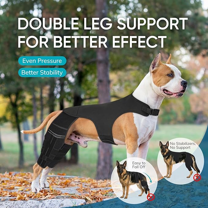 Adjustable Dog Knee Brace for ACL Tear and Arthritis Recovery - Dual Hind Leg Support with Harness Connection - Orthopedic Leg Wrap for Joint Stability and Pain Relief in Small to Large Dog ( (XXL)