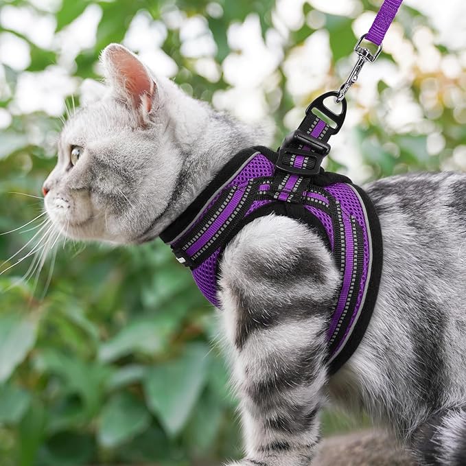 rabbitgoo Cat Harness and Leash Set for Walking Escape Proof, Adjustable Soft Kittens Vest with Reflective Strip for Cats, Comfortable Outdoor Vest, Purple, XL