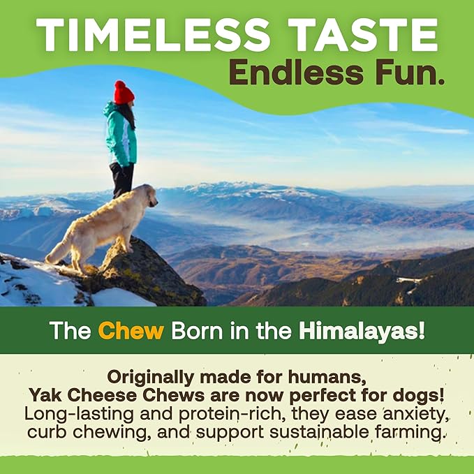EcoKind Premium Gold Yak Cheese Himalayan Dog Chews, Dog Treats Large Breed, All Natural, High Protein Dog Chew, Cheese, Large - 5 Chews