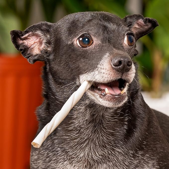 Pet Factory American Beefhide 5" Twist Sticks Dog Chew Treats - Natural Flavor, 10 Count/2 Pack