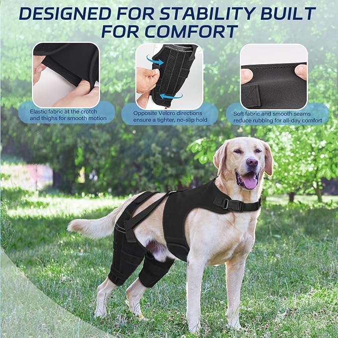 Dog Knee Brace for Torn ACL Hind Leg, Dog Leg Braces Helps with Torn CCL, Luxating Patella, Ligament Injuries, Hip Dysplasia XS