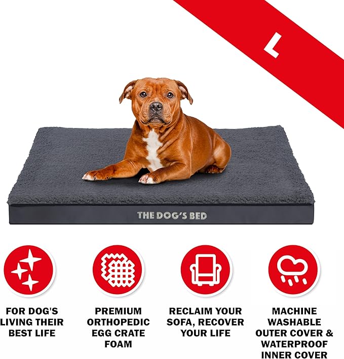 The Dog’s Bed Orthopedic Standard Foam Dog Bed Mattress, Plush Fabric, Grey, Large