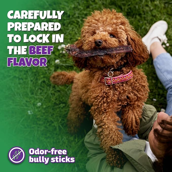Bully Sticks for Dogs Sourced & Made in USA, All-Natural Taste, Shape, & Color, 6 inch Pizzle Sticks, Bully Bones for Small and Medium Dogs, Includes 12 to 14 Rawhide-Free Treats Per Bag, 8oz