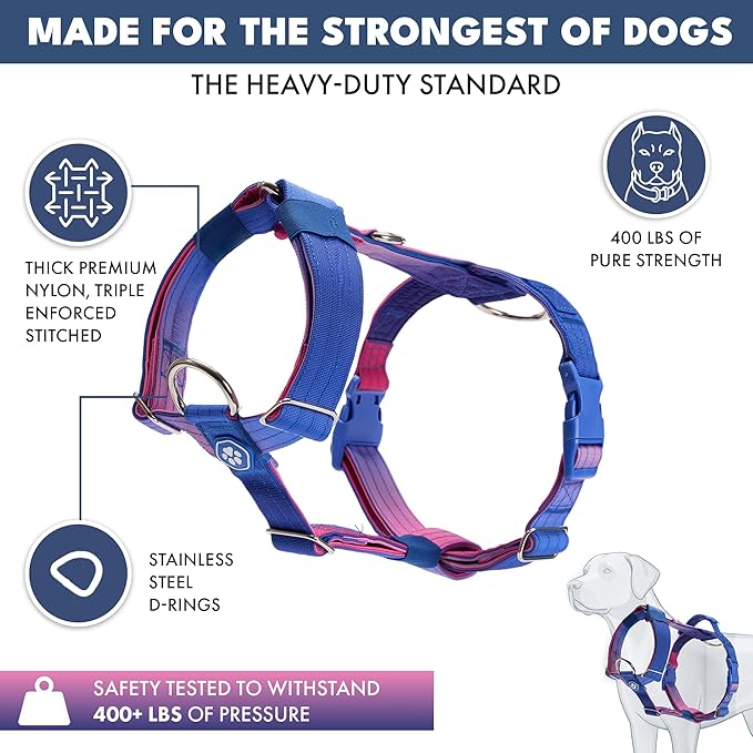 Spark Paws No Pull Dog Harness for Large Dogs, Heavy Duty Dog Harness for Big Strong Breeds, Adjustable, Y Shaped Padded Halter Design with Front Clip - Snow Cone - L