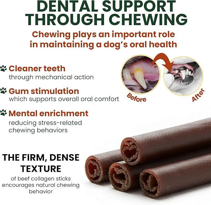 10 Pack 6 Inch Beef Collagen Sticks Chewable for Dogs – Rawhide Alternative Chews, Single Ingredient, Long Lasting Dental Treats, High Protein Natural Dog Chews for Small to Medium Dogs