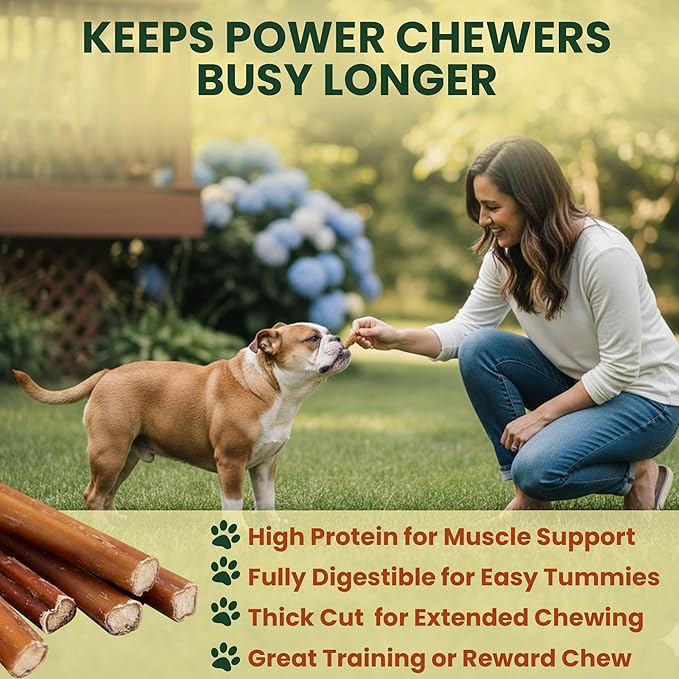 4 Pack 6 Inch Jumbo Bully Sticks for Large Dogs – 100% Beef Pizzle, Single Ingredient Rawhide-Free Dental Chews, Long Lasting Natural Dog Treats for Power Chewers